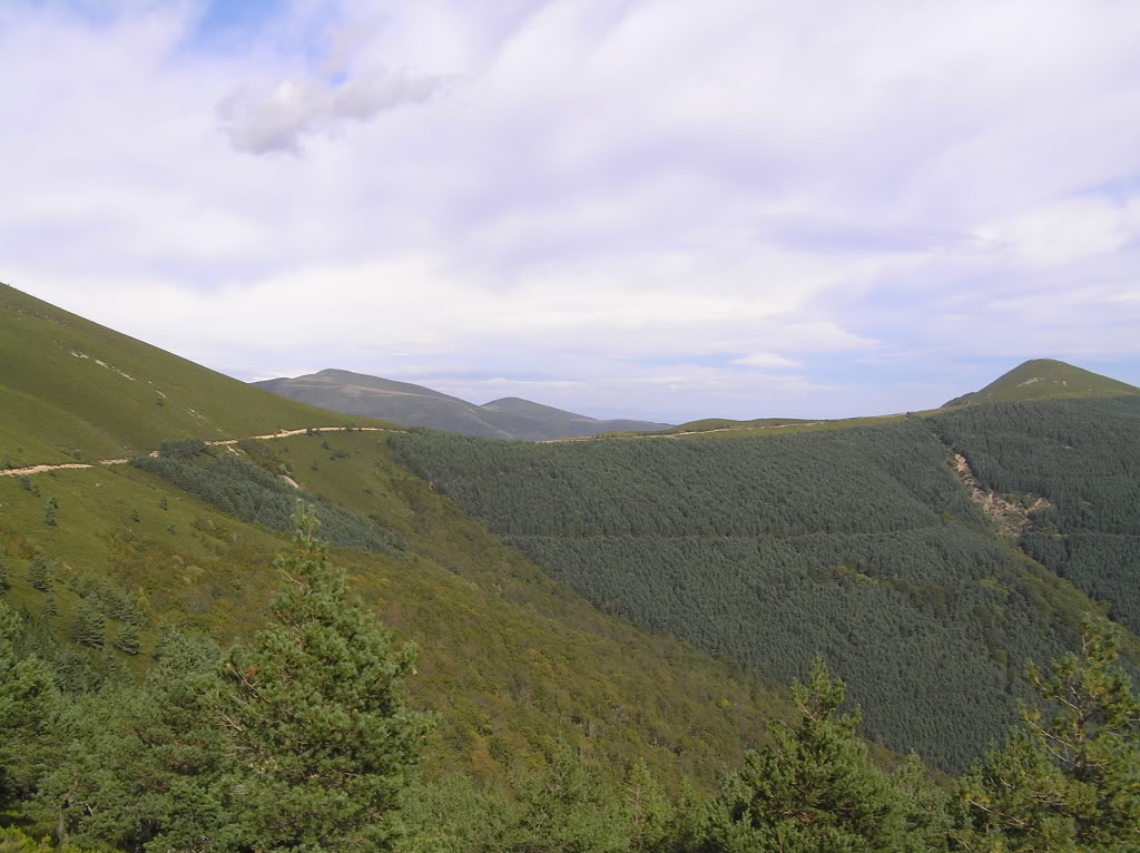 P3120190.jpg