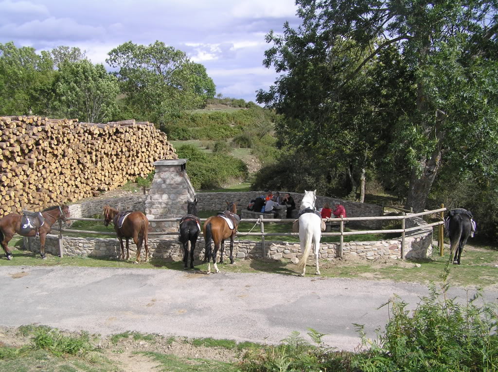 P3120199.jpg
