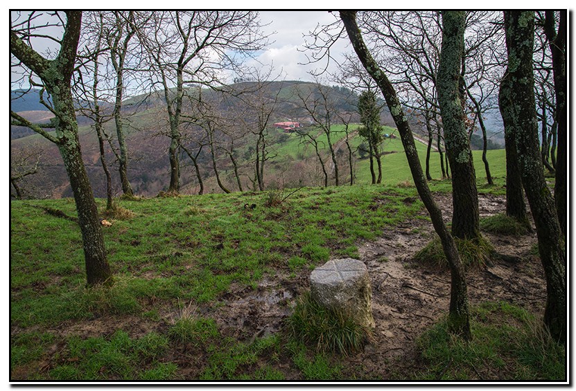 Ondarbiribil: Seles de Zizurkil y una muga de Roncesvalles