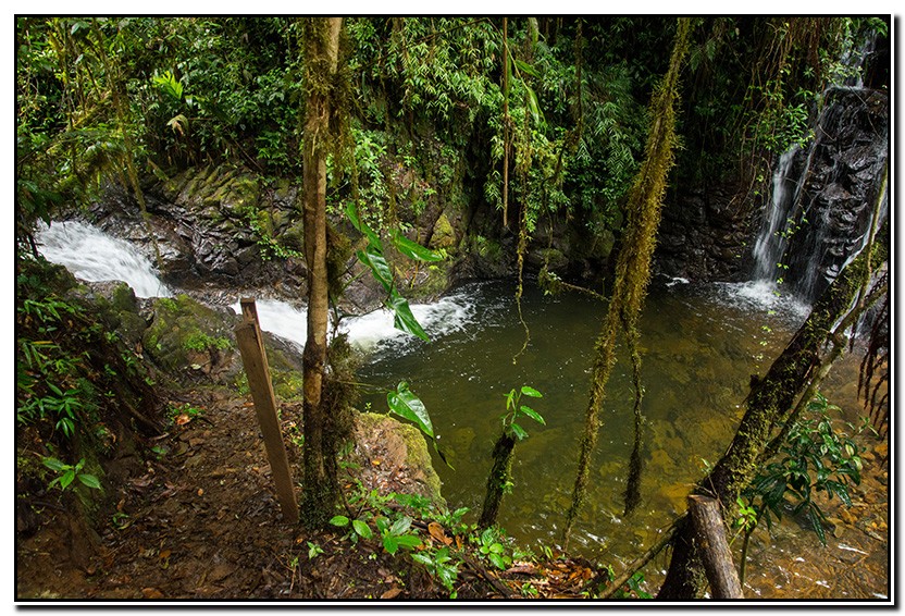 Guatemala : 12-08-15 - Cobán, naturaleza a tope.