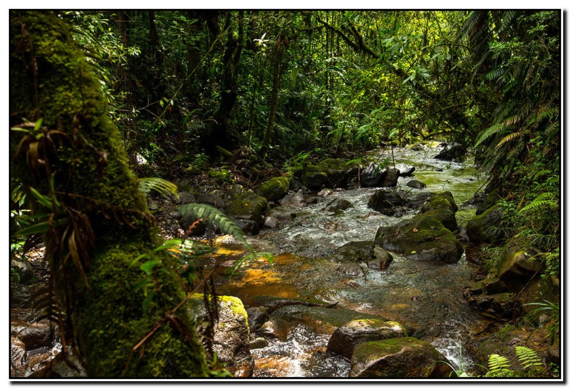 Guatemala : 12-08-15 - Cobán, naturaleza a tope.