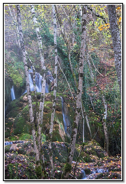 Las cascadas de La Toberia