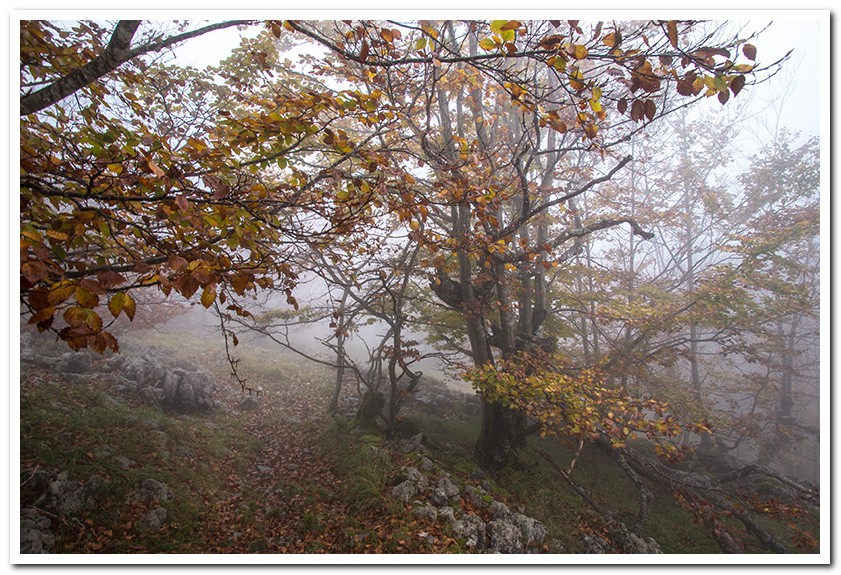 Beloki: Aralar, nieblas y otoño