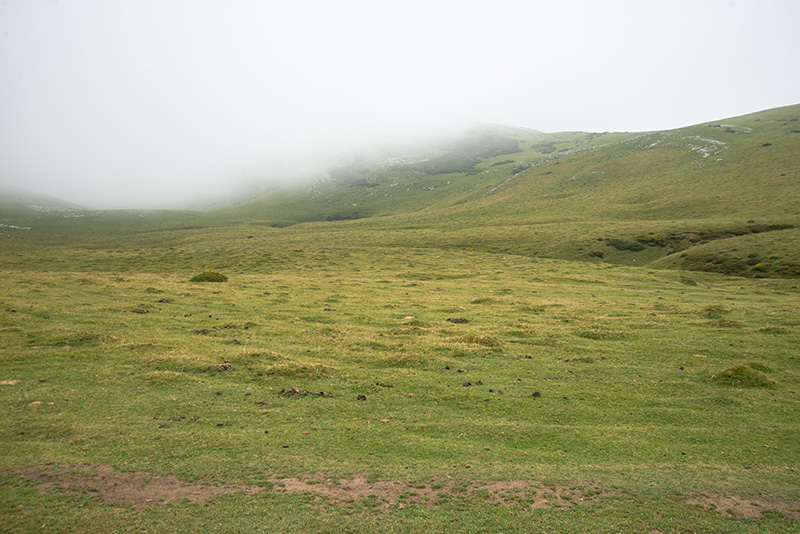 Aralar, deambulando entre nieblas y rebaños ...