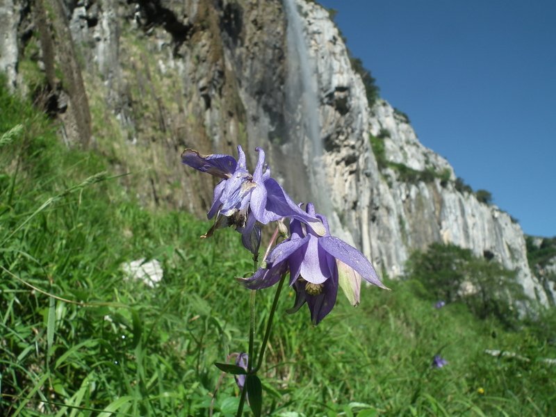 photo cascada ason monte colina 032_zps6lpvuein.jpg