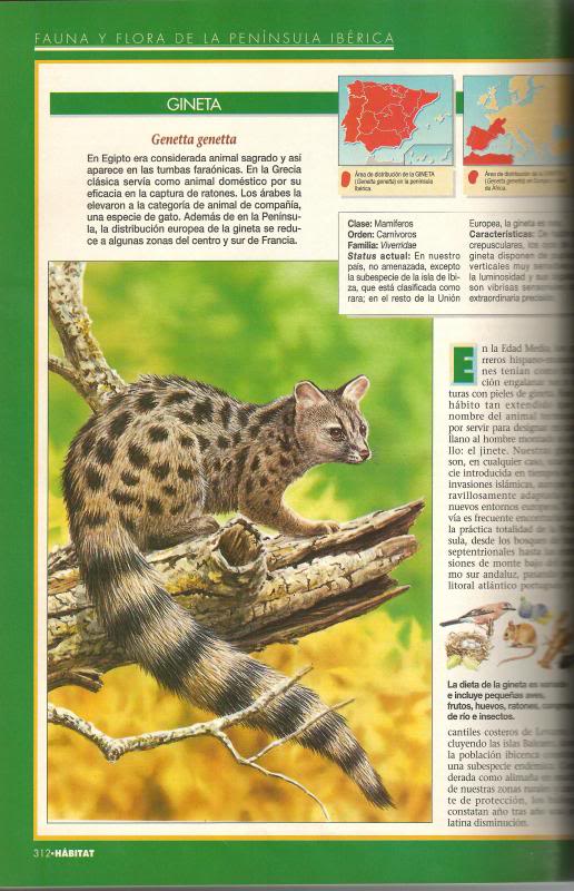 photo Expediente11_zpsc7b307b0.jpg