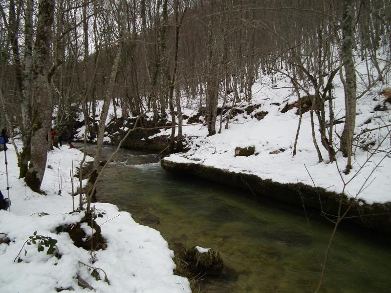 photo igoroin030_zps84522f1c.jpg
