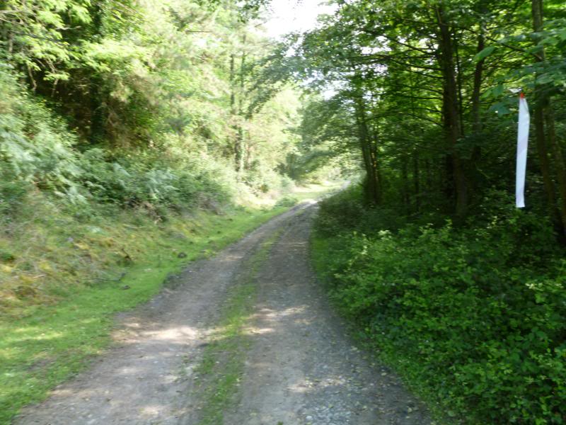 MartxadeArrigorriaga2011022.jpg