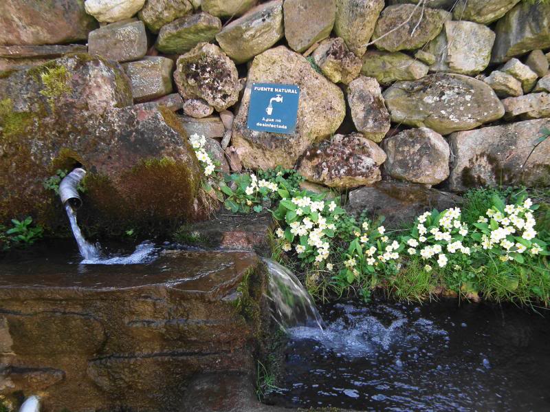 photo primavera041_zpsb9c09057.jpg