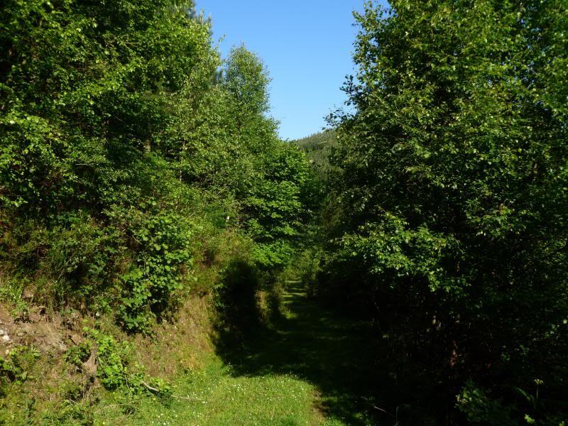 galdames-r032.jpg