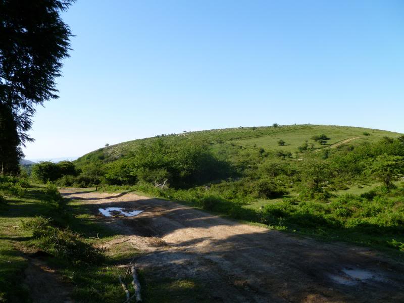 galdames-r035.jpg