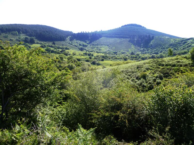 galdames-r049.jpg