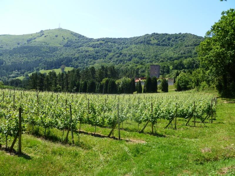galdames-r074.jpg