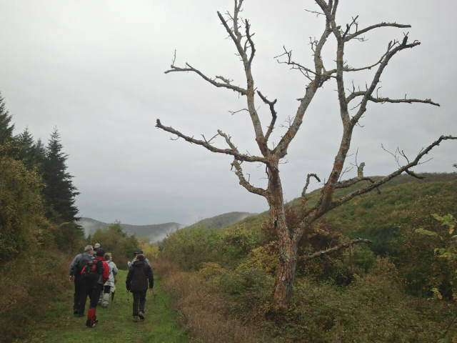 2012-10-20093134_zpse6e2f8ff