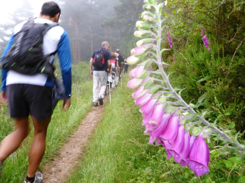 MartxaEzcaray2011013.jpg
