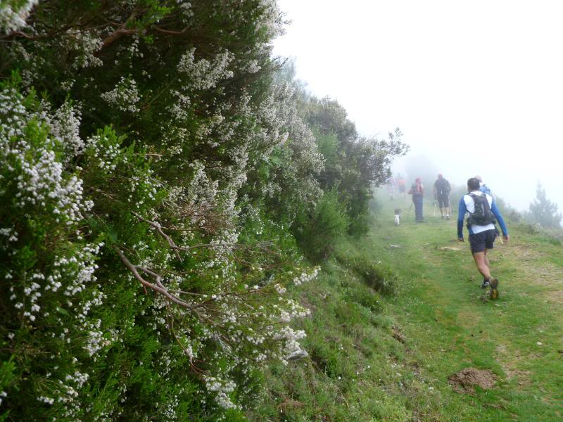MartxaEzcaray2011033.jpg