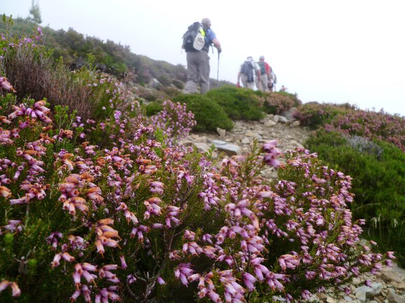 MartxaEzcaray2011036.jpg