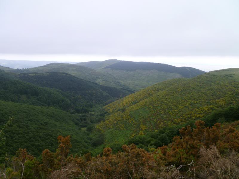 MartxaEzcaray2011073.jpg