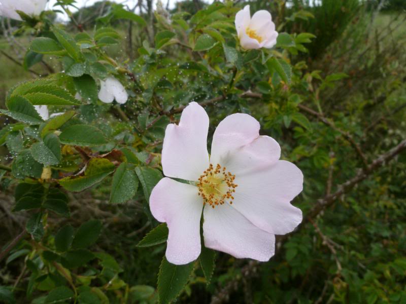 MartxaEzcaray2011082.jpg