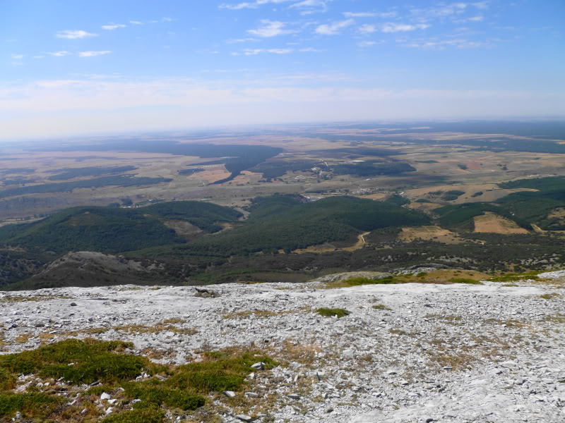 8c778422.jpg