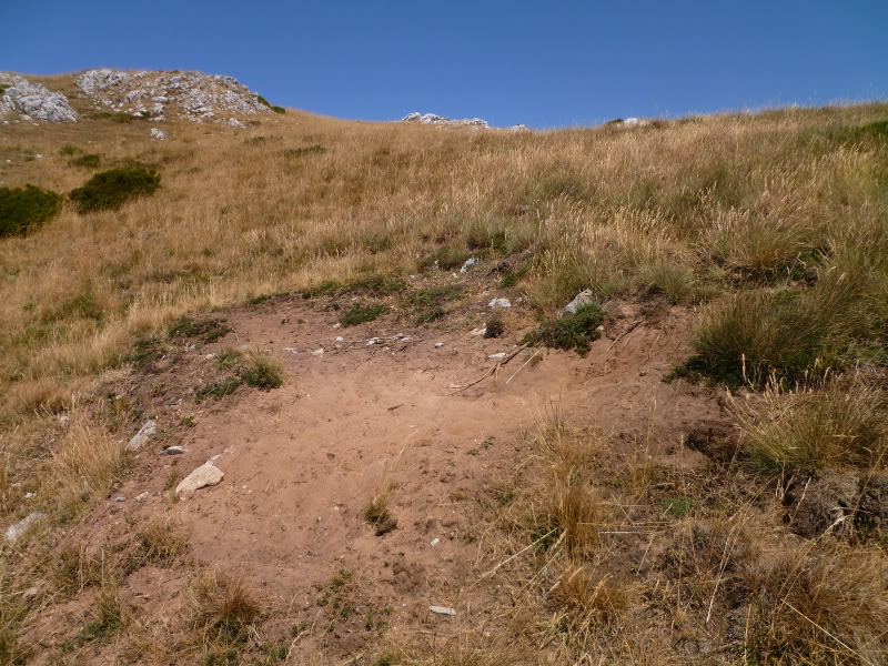 ab4d048b.jpg