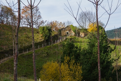 foto saroi