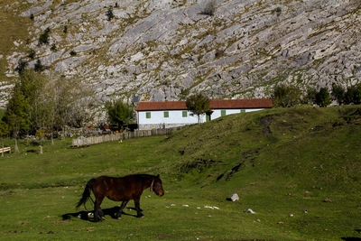 foto saroi