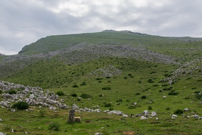 foto saroi
