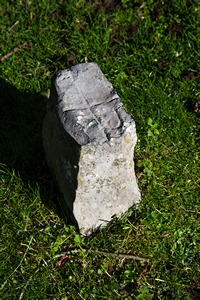 Artamugarri