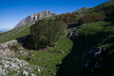 foto saroi