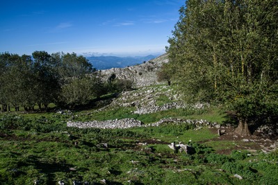 foto saroi