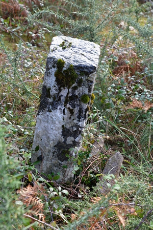 Artamugarri