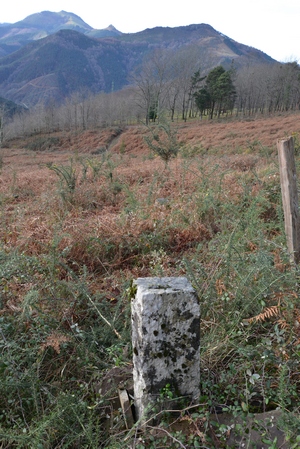 foto saroi