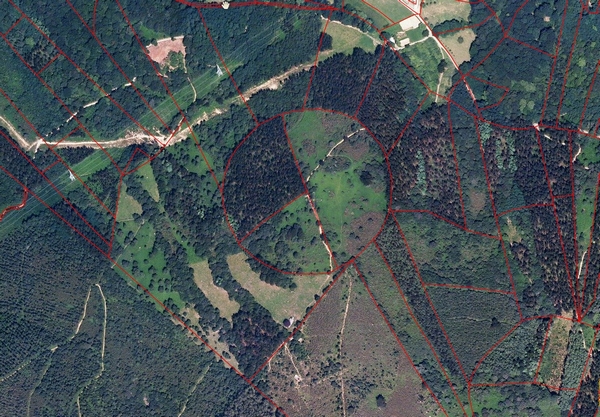 foto saroi