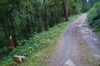 foto saroi