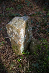 Artamugarri