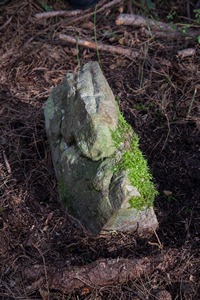 Artamugarri