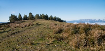 foto saroi