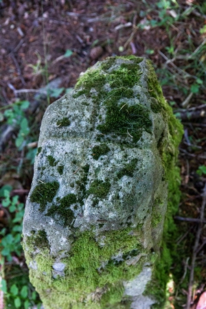 Artamugarri