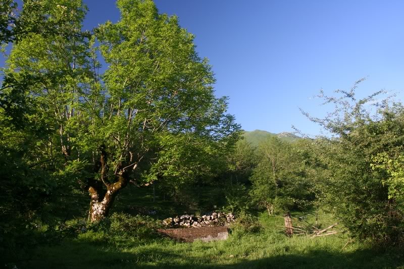 Zabalegi 27-5-07