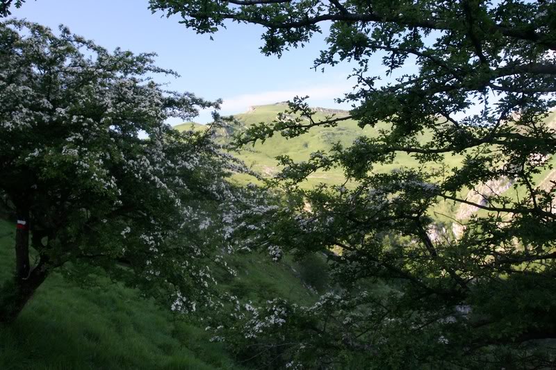 Zabalegi 27-5-07