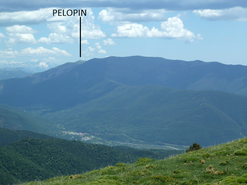 peterson montana svorio metimas