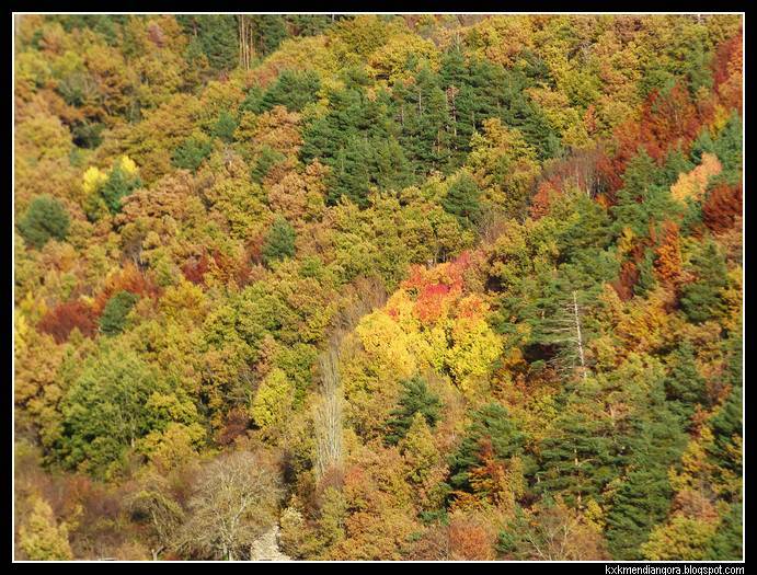 Valle de hecho