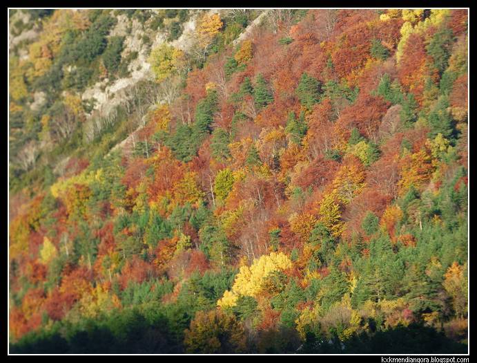 Valle de hecho