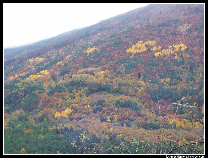 Anso valle de hecho