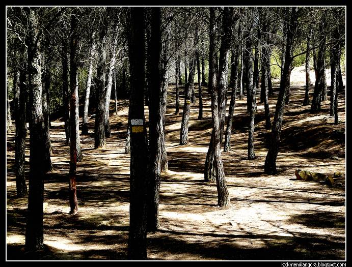 Ruta de las Caras
