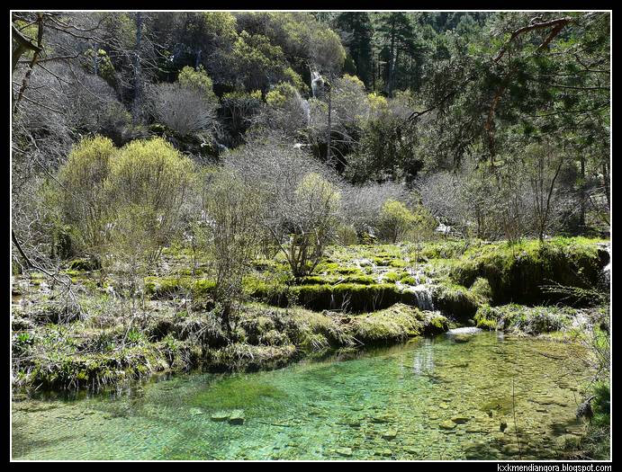 Nacimiento del Rio Cuervo