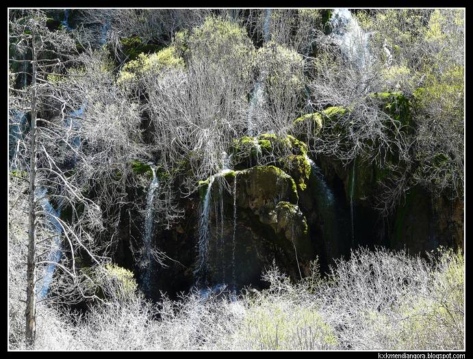 Nacimiento del Rio Cuervo