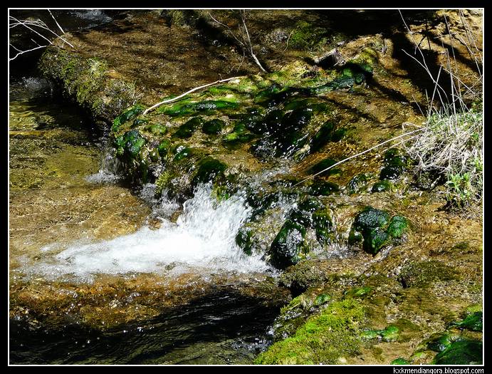 Nacimiento del Rio Cuervo