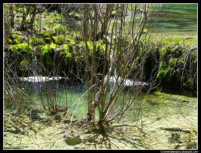 Nacimiento del Rio Cuervo